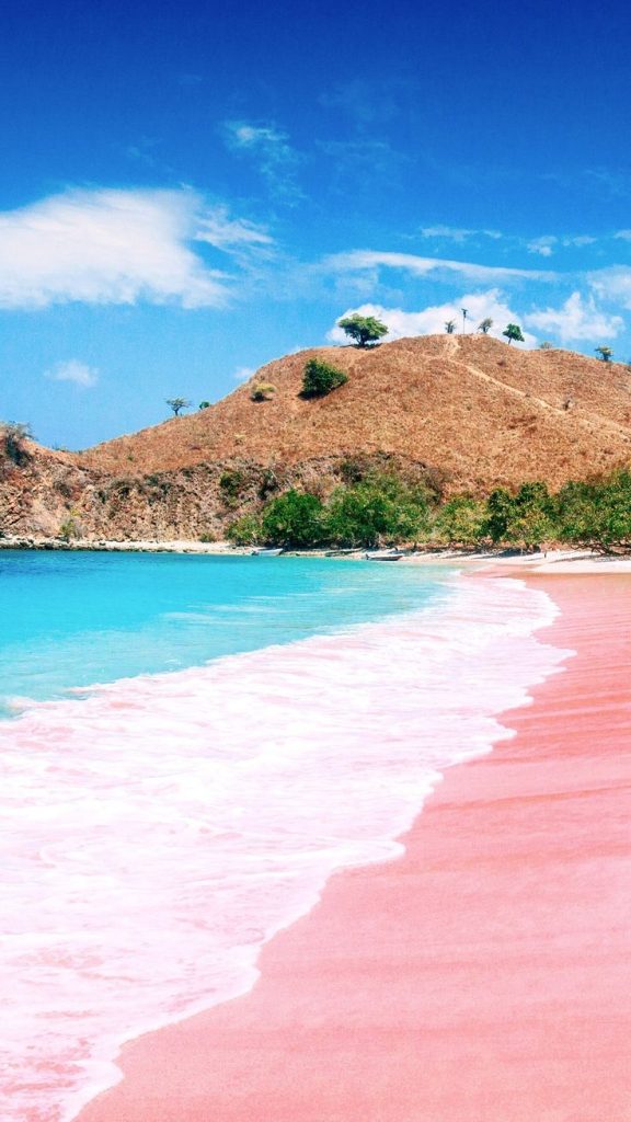 Wisata Pantai Pink