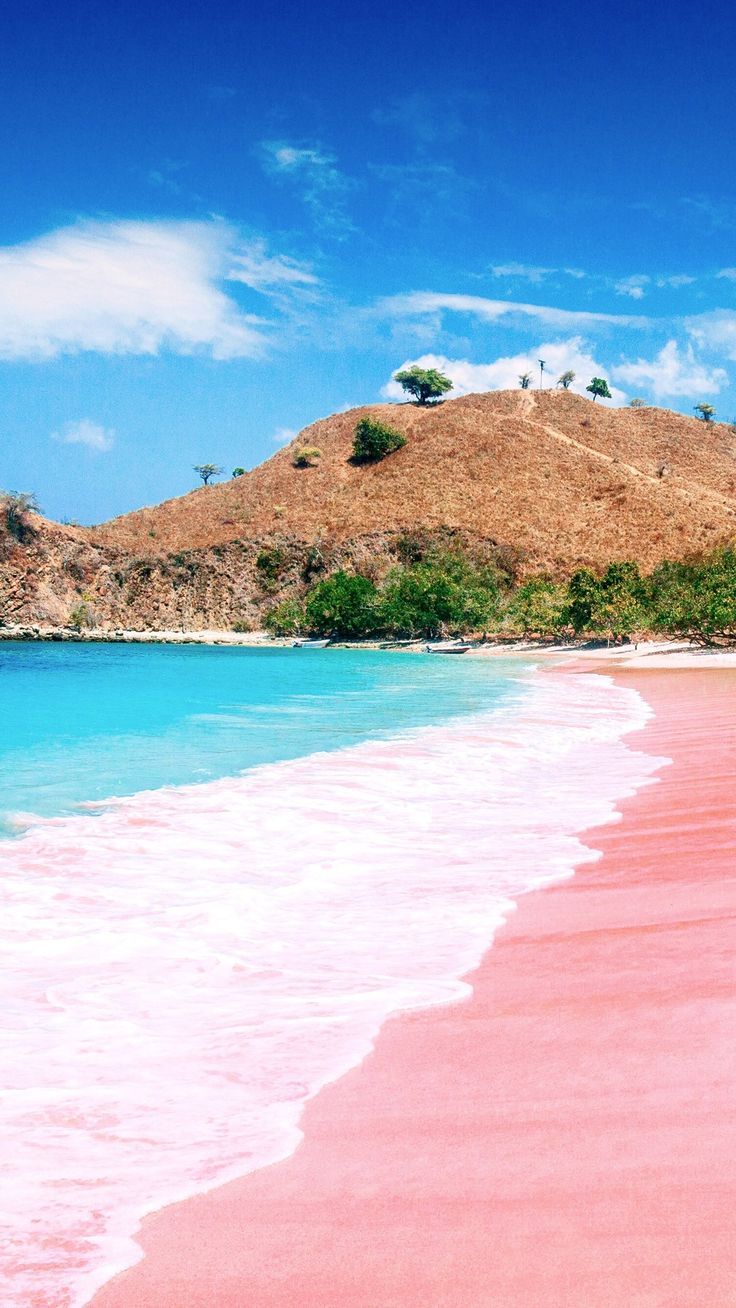 Wisata Pantai Pink